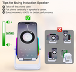 5-in-1 Induction Speaker & Stand
