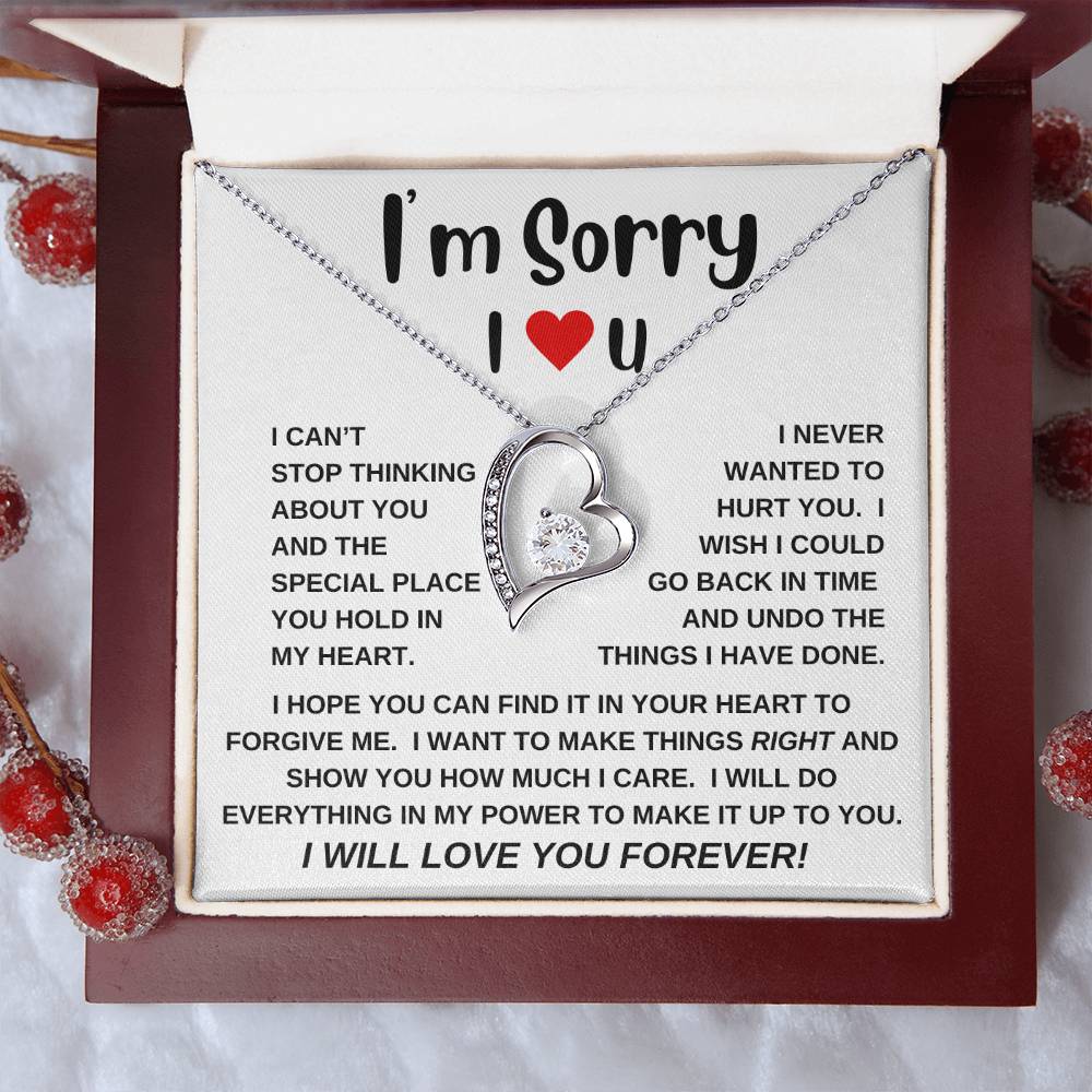 I'm Sorry|Forever Love Necklace