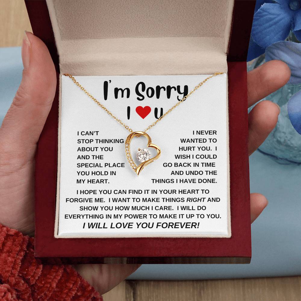 I'm Sorry|Forever Love Necklace