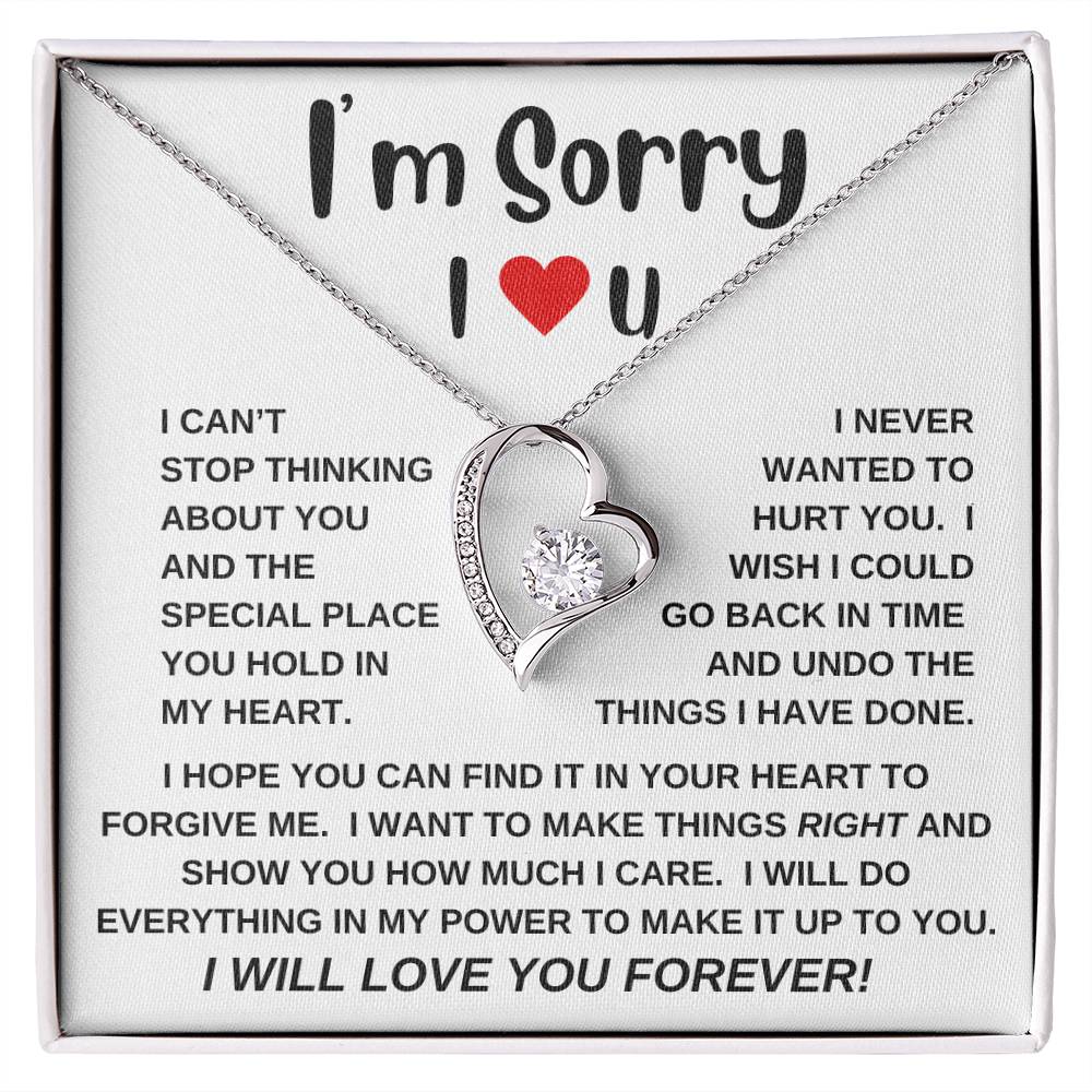 I'm Sorry|Forever Love Necklace