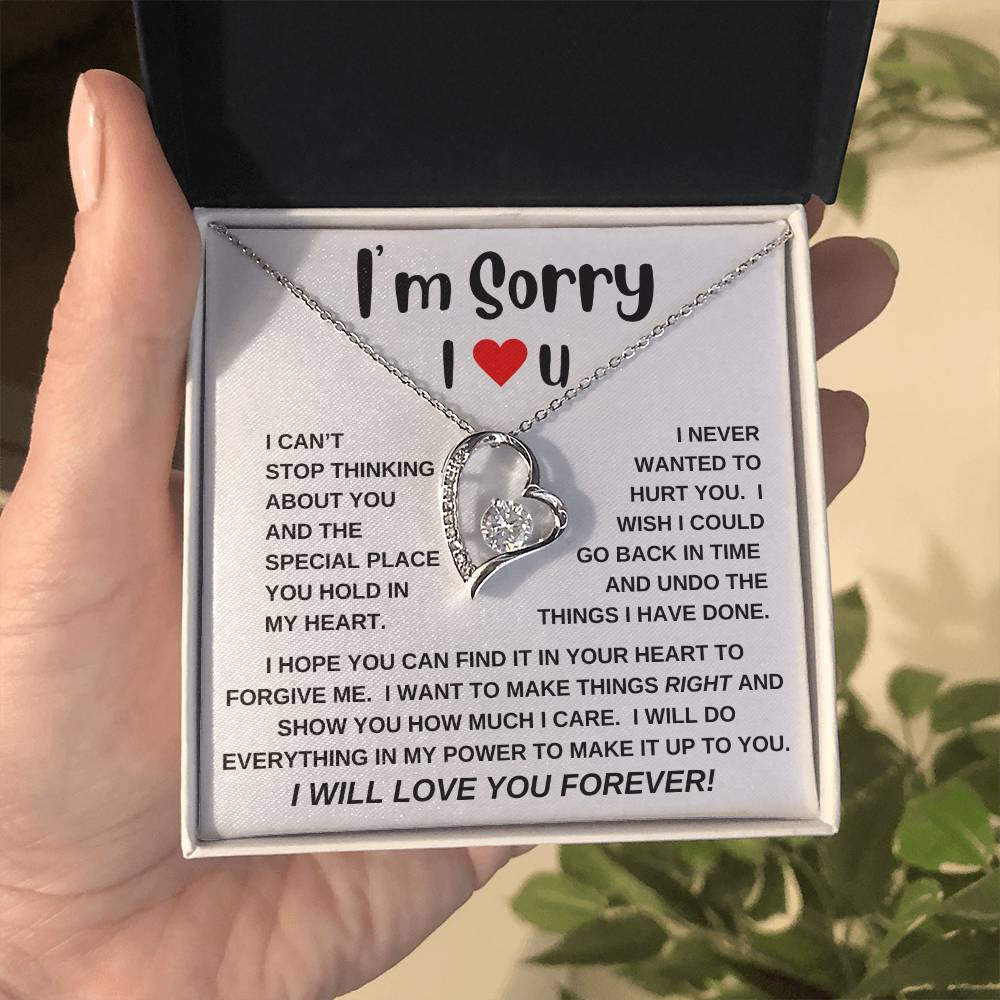 I'm Sorry|Forever Love Necklace