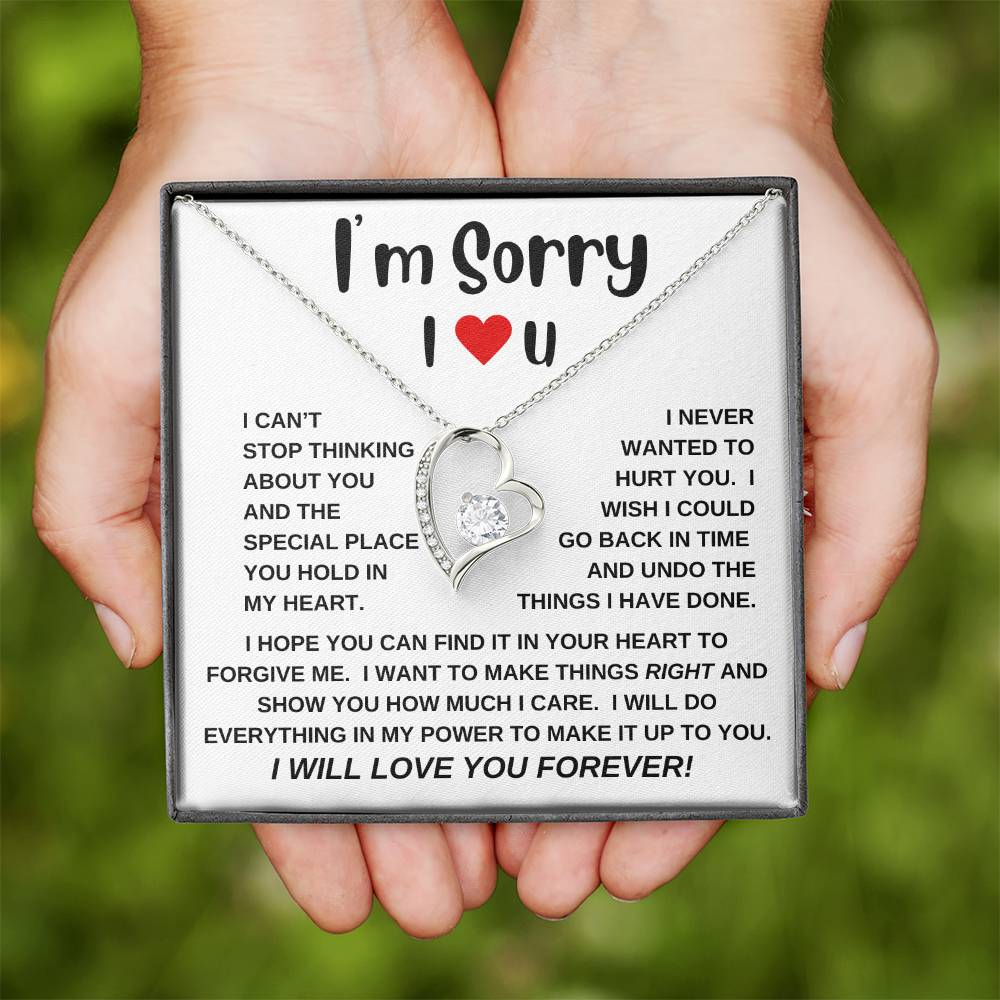 I'm Sorry|Forever Love Necklace