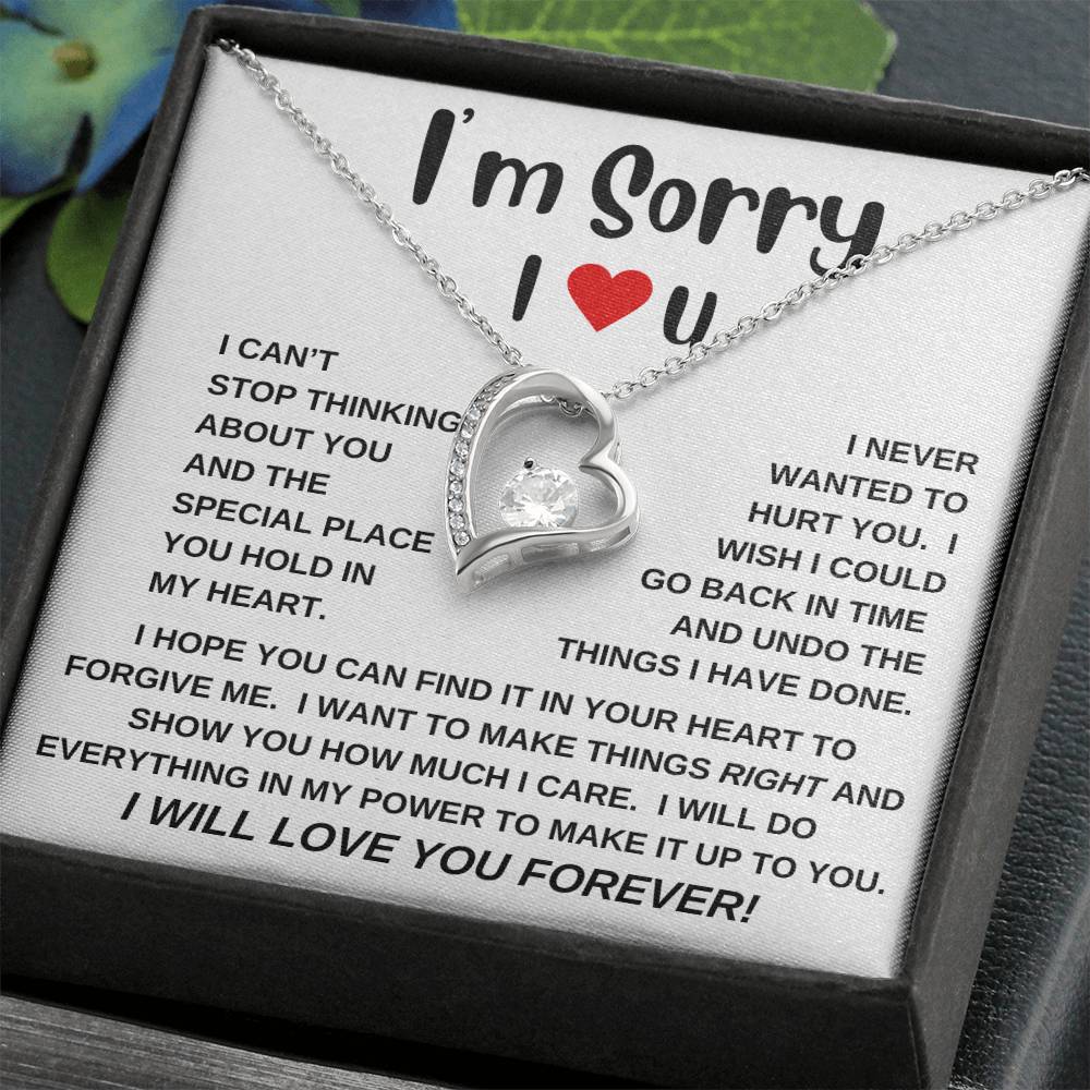 I'm Sorry|Forever Love Necklace