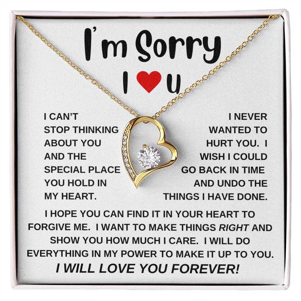 I'm Sorry|Forever Love Necklace