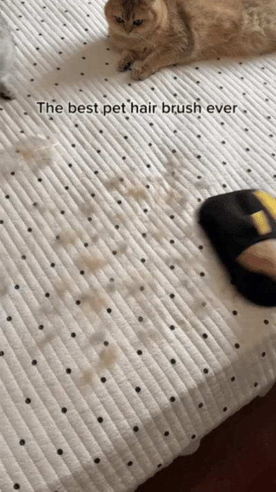#1 BEST SELLING PET HAIR REMOVER MITT